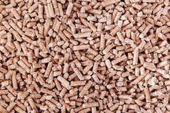 Grain